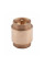 Зворотний клапан Valve 1" SV240W25